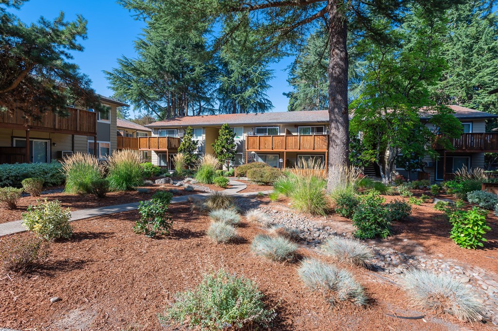 a courtyard with trees and plants in front of a house