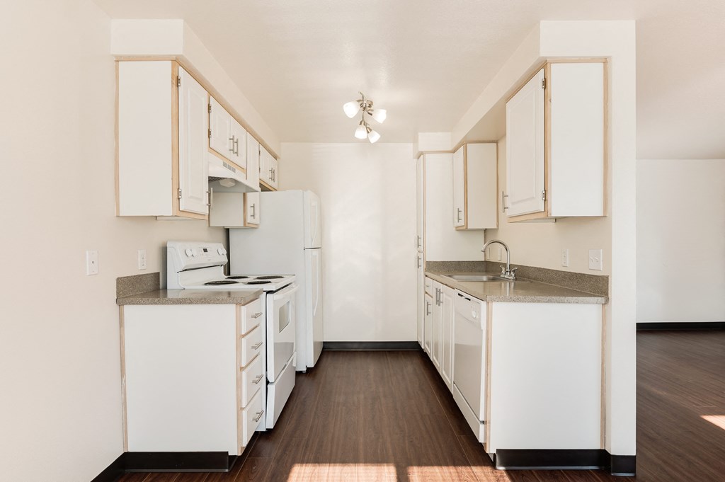 Park Avenue Village Apartments Kitchen