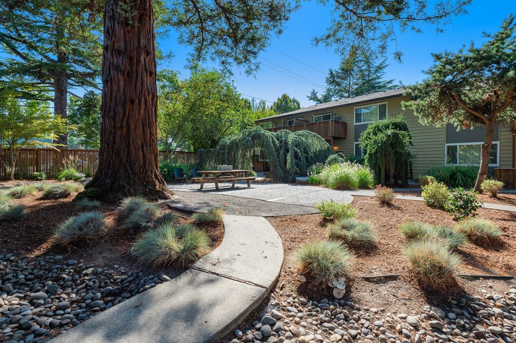an outdoor area with a picnic table and trees