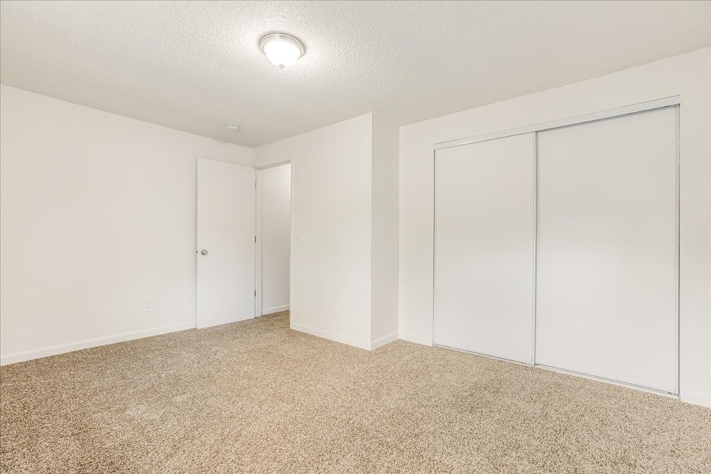 A room with a carpeted floor and two white doors.