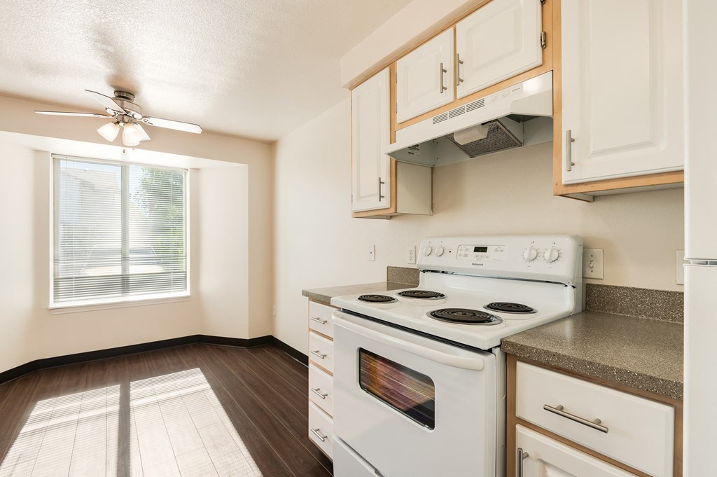 Park Avenue Village Apartments Kitchen