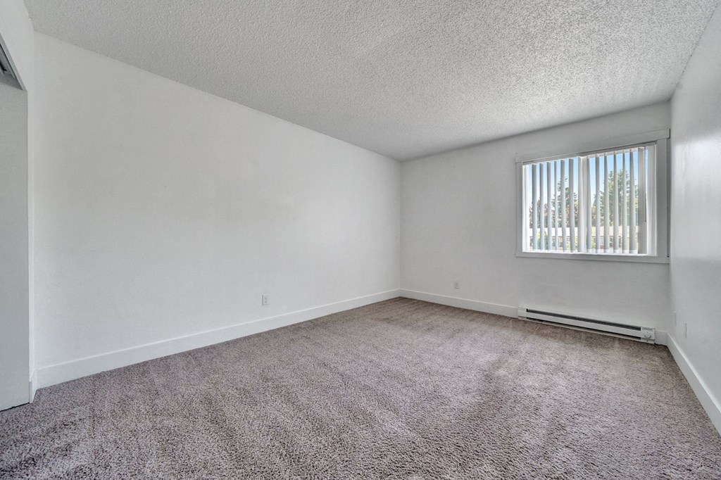 a bedroom with white walls and carpet