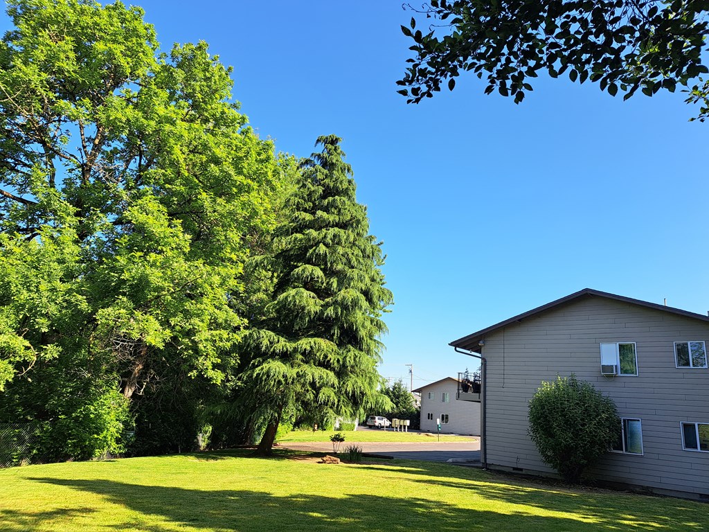 Island Park Apartments Green Space