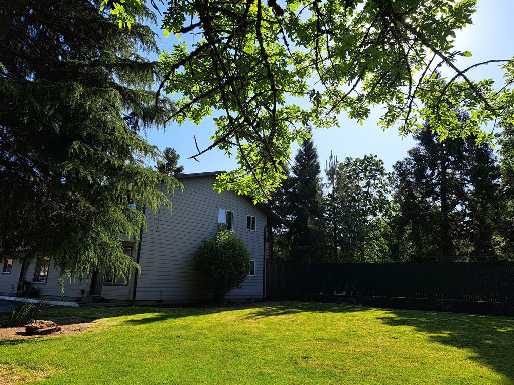 Island Park Apartments Green Space