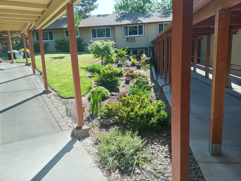a view of a garden in front of a house