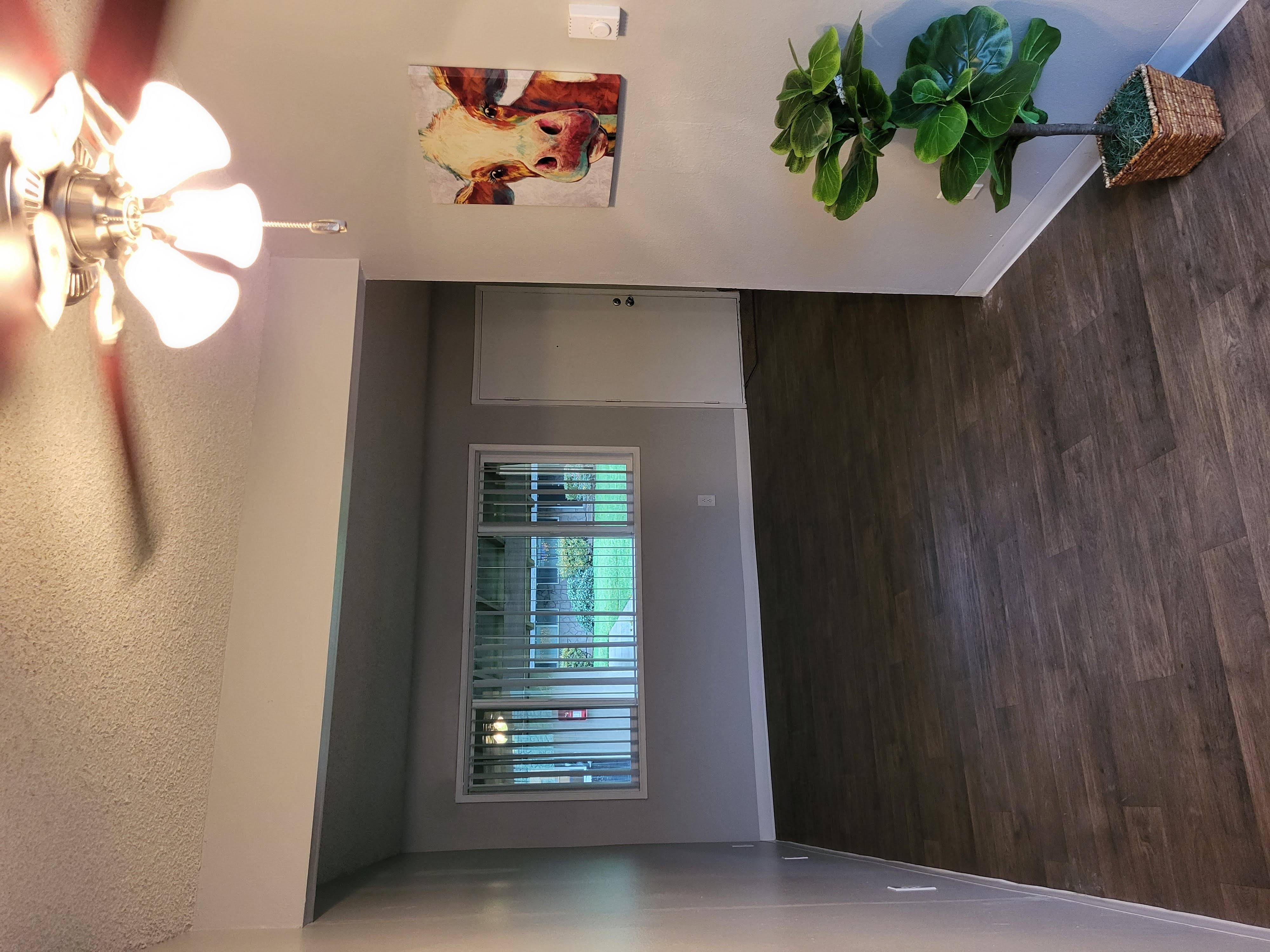 a hallway with a window and a potted plant on the wall