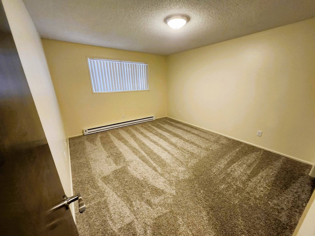 Nell Anna Court room with a striped carpet and a window with blinds.