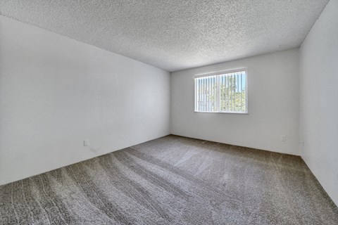 a bedroom with a window and a carpeted floor