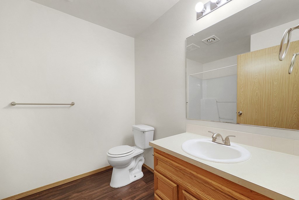 a bathroom with a toilet sink and mirror
