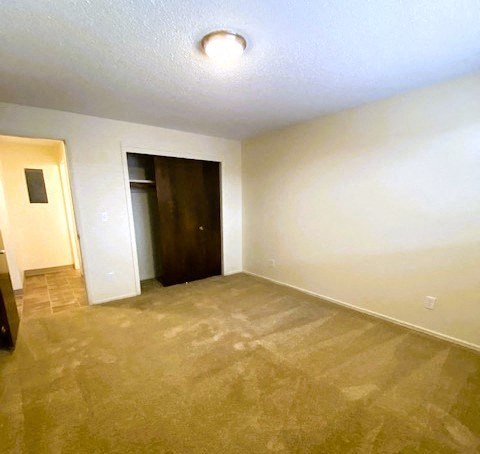 Nell Anna Court room with a brown carpet and a brown door.