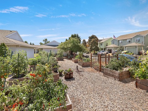 Highland Court Apartments Vegetable Garden