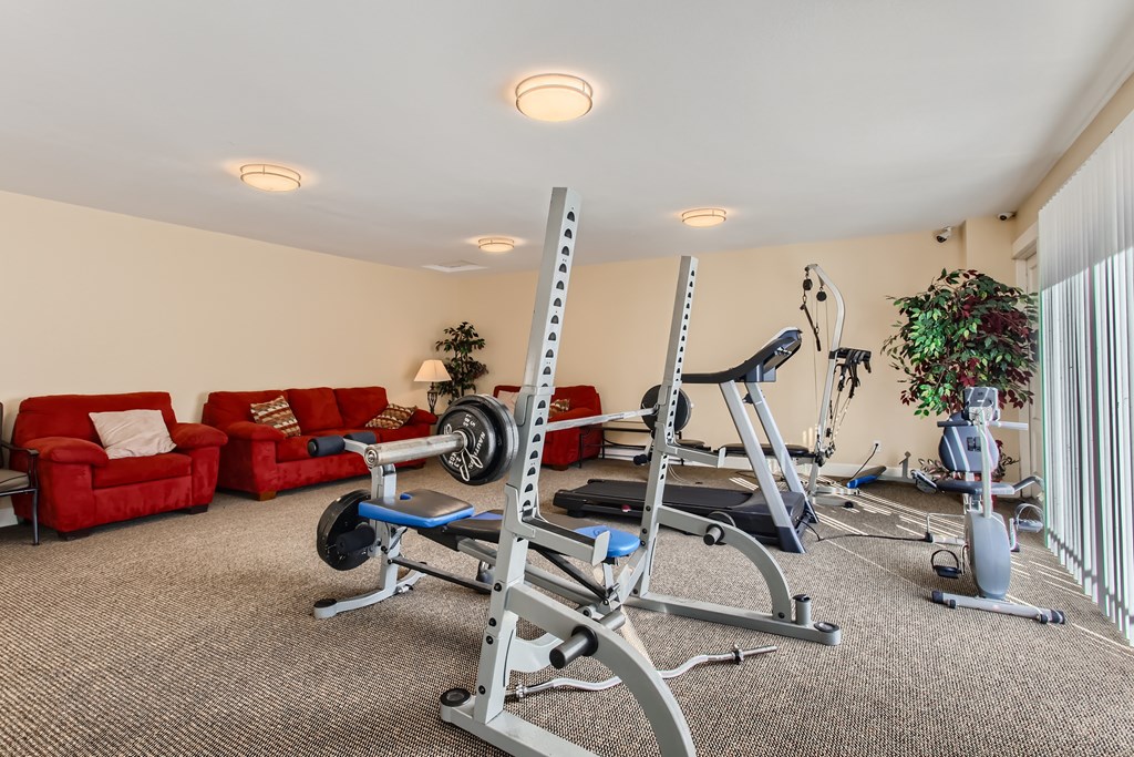 A home gym with a weightlifting bench, a treadmill, and a potted plant.
