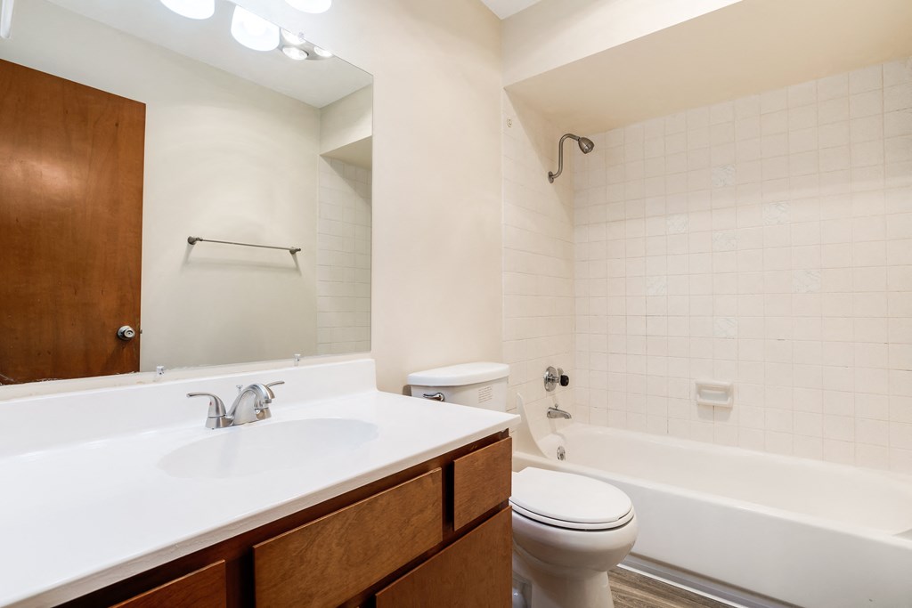a bathroom with a sink and a toilet and a bath tub