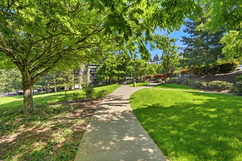 A tree-lined walkway in a park.