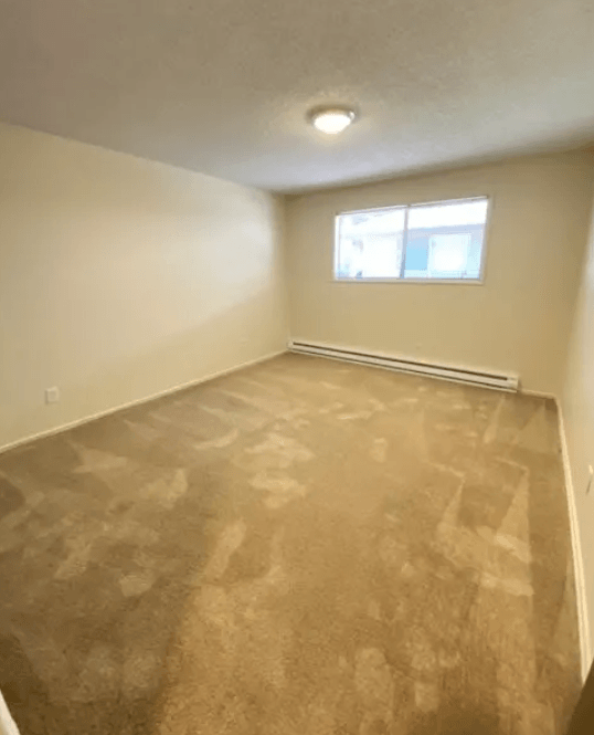 Nell Anna Court room with a window and a carpeted floor.