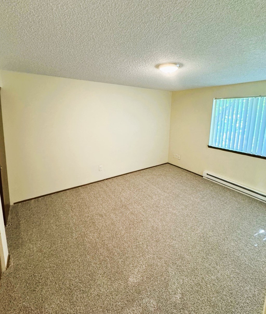 A room with a carpeted floor and a window with blinds.