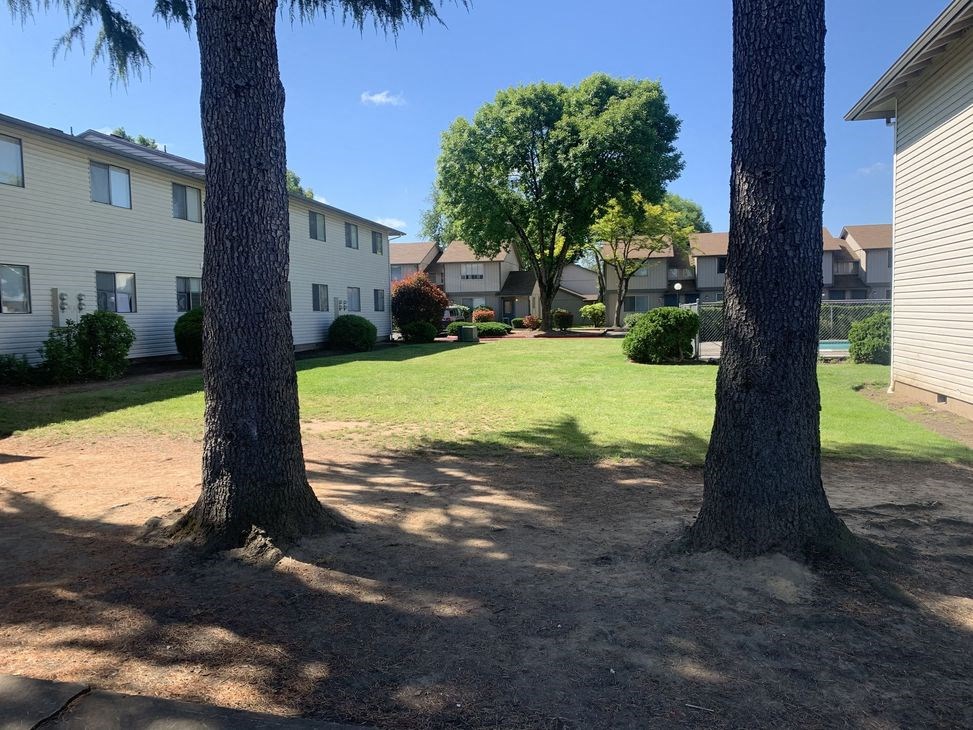 Rockwood Apartments Courtyard
