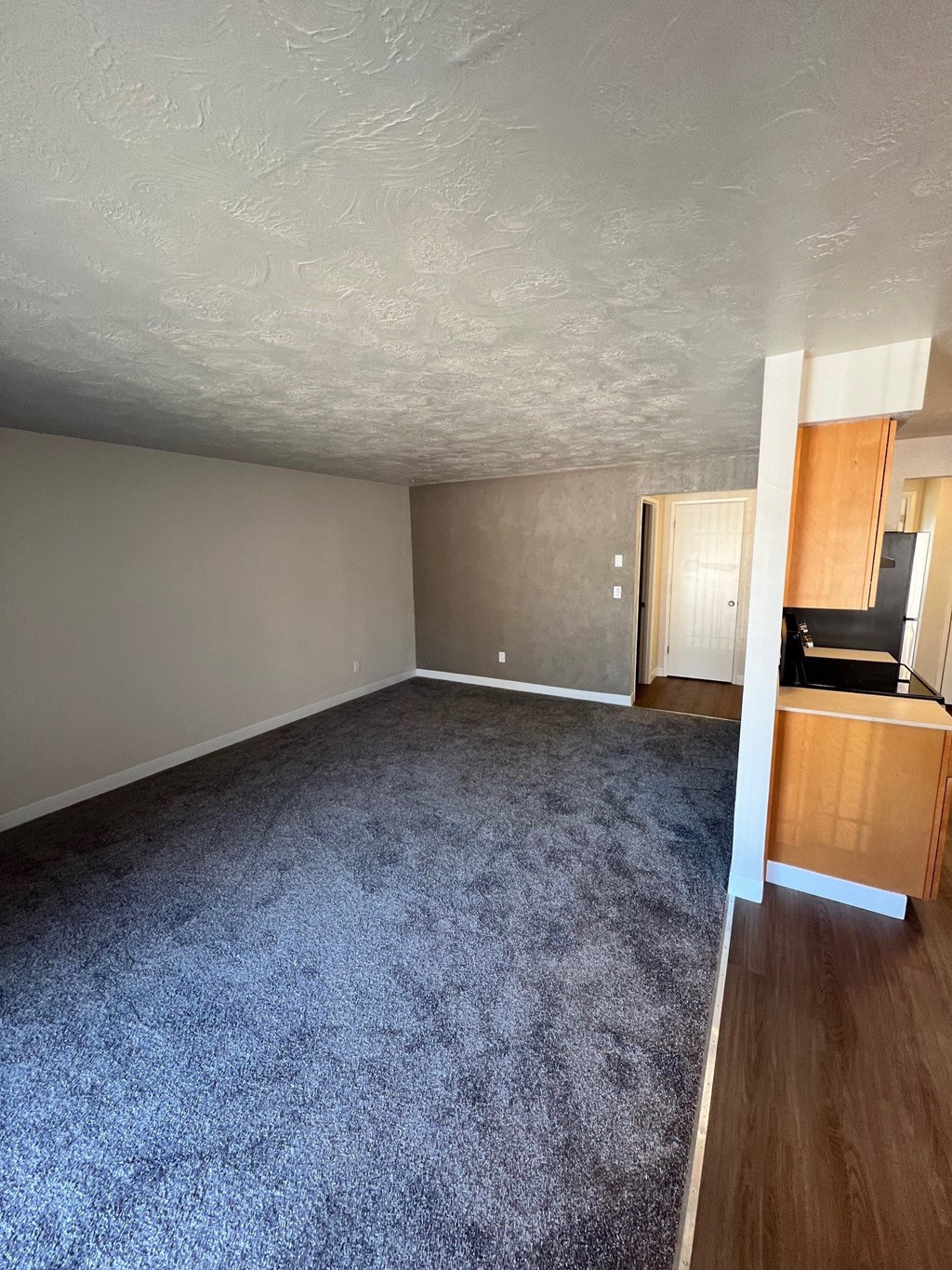 A room with a blue carpet and a wooden cabinet.