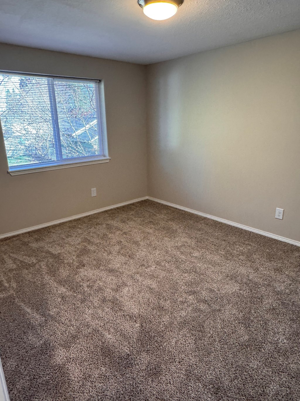A room with a carpeted floor and a window with a view of trees and a building outside.
