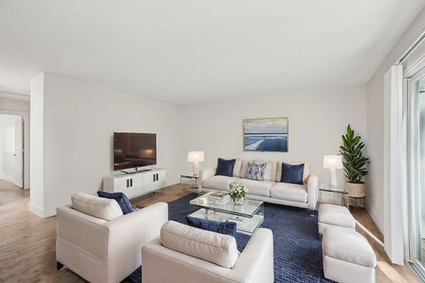 A living room with a white couch and a blue rug.