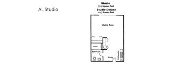 a floor plan of a studio apartment with a bedroom and a living room
