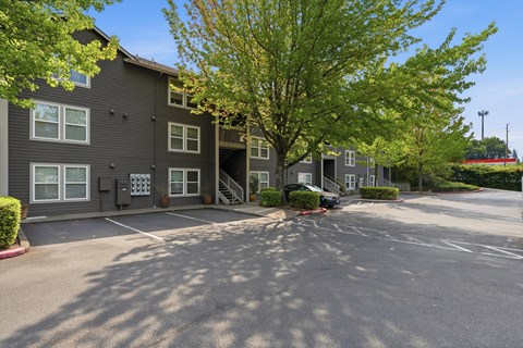 A parking lot in front of a building with a tree in the middle.