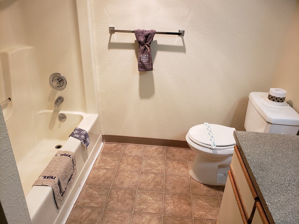 a bathroom with a toilet sink and bathtub