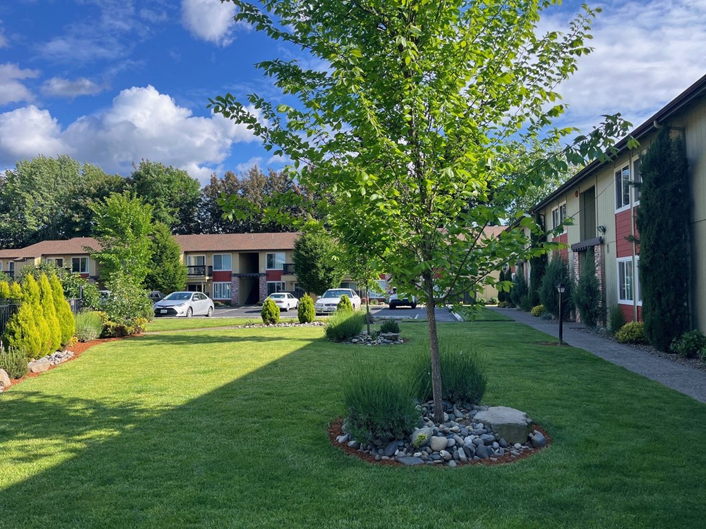 a tree in the middle of a yard in front of a building