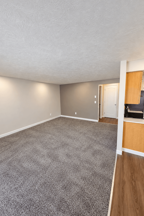 A room with a grey carpet and a white door.