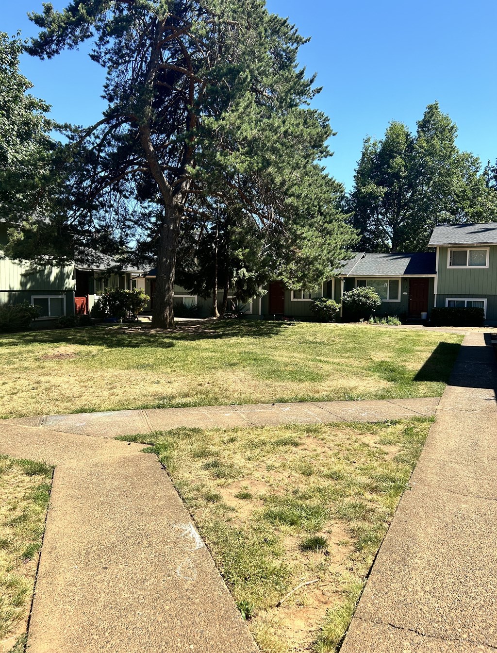 Mt. Pleasant Apartments Courtyard