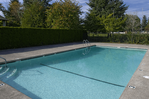 A rectangular pool with a hedge in the background.