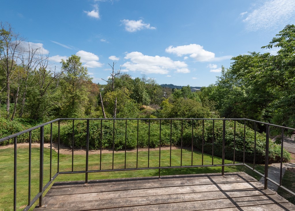 a view of the garden from the balcony