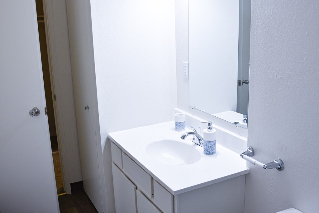 a bathroom with a sink and a mirror