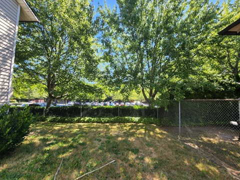 A backyard with a fence and trees.