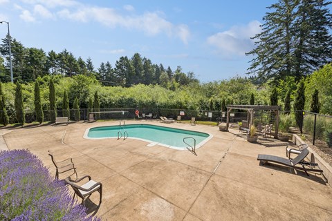 A pool surrounded by trees and purple flowers.