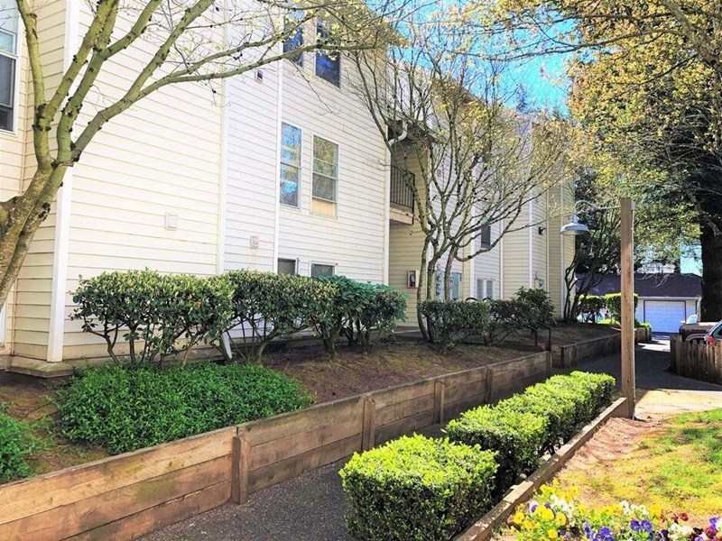 a row of hedges in front of a white house