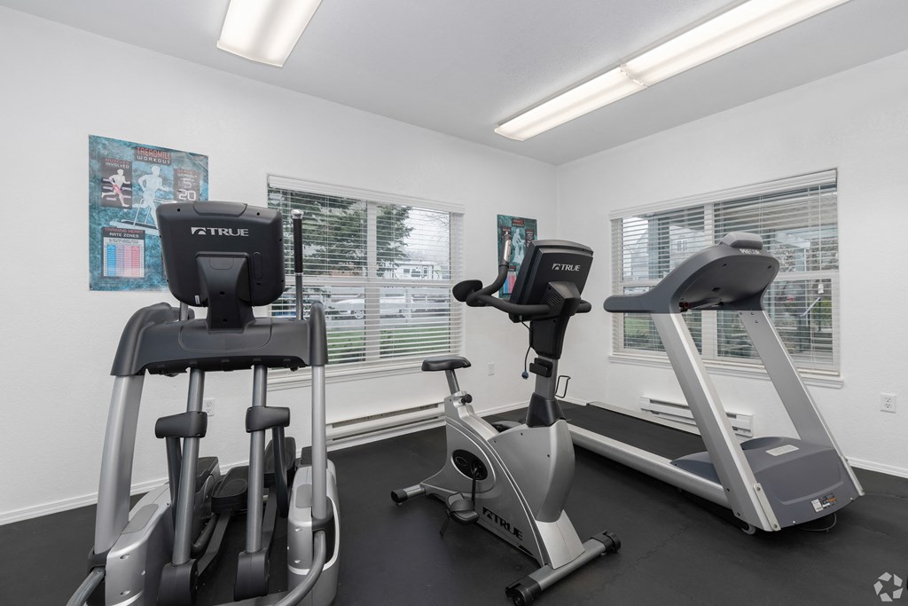 A gym with a treadmill and elliptical trainer.