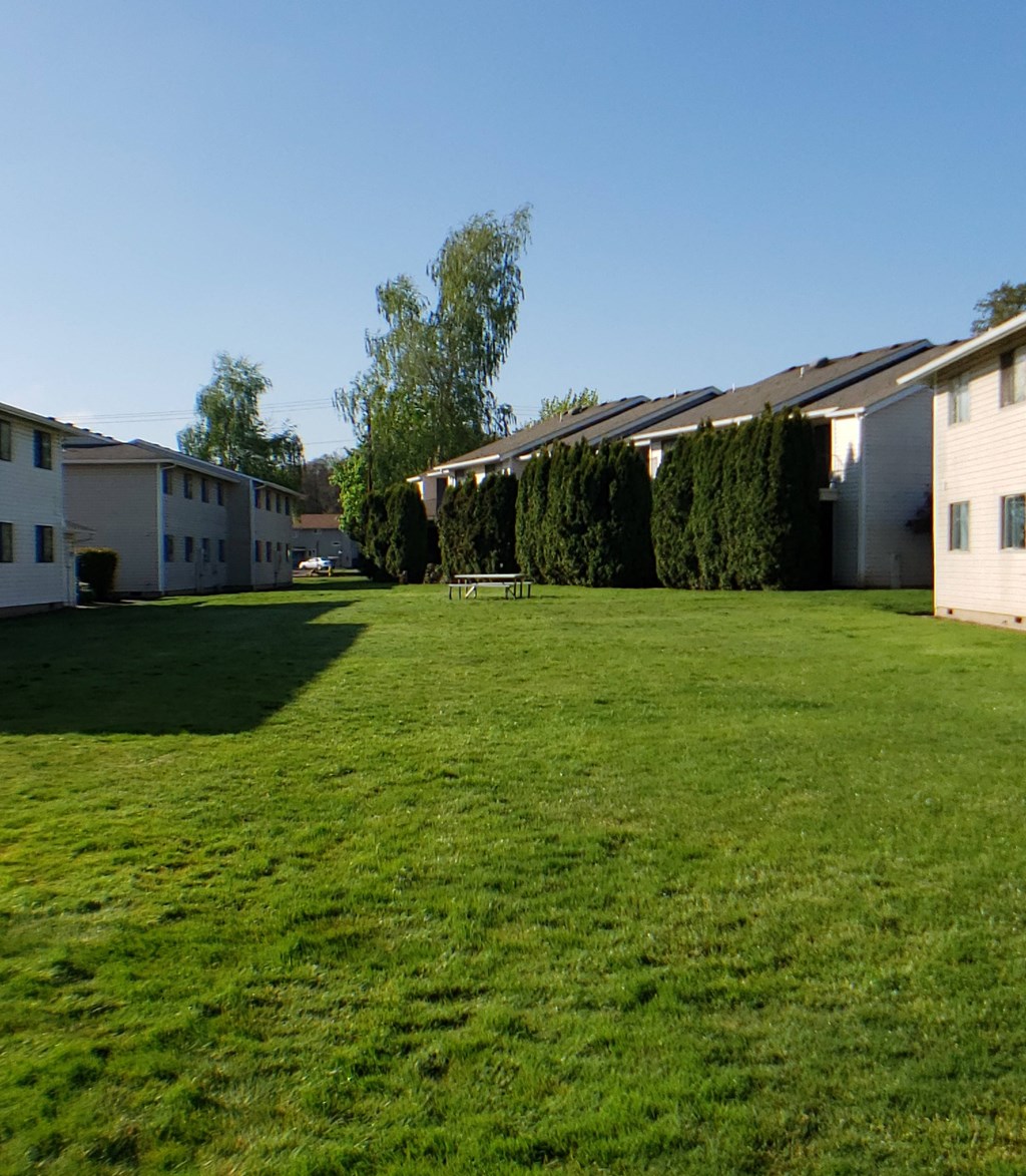 a large grassy area with a picnic table in the middle of it