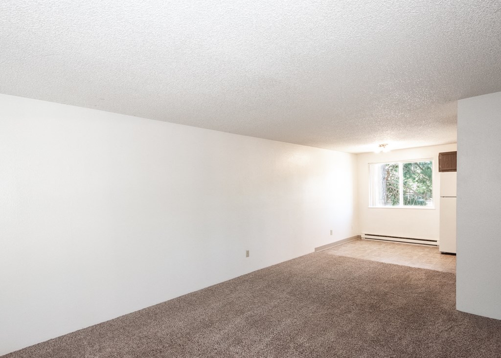 a bedroom with white walls and carpet