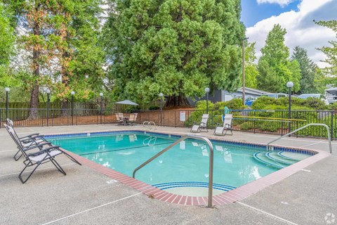 Hampton Park Pool
