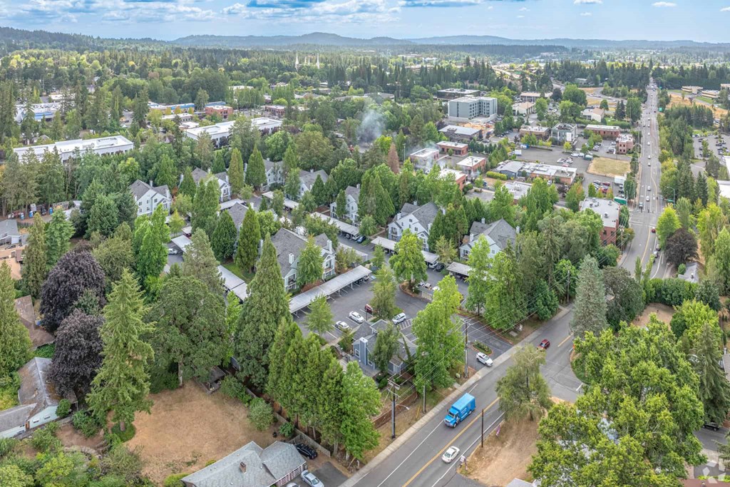 Aerial view of Hampton Park