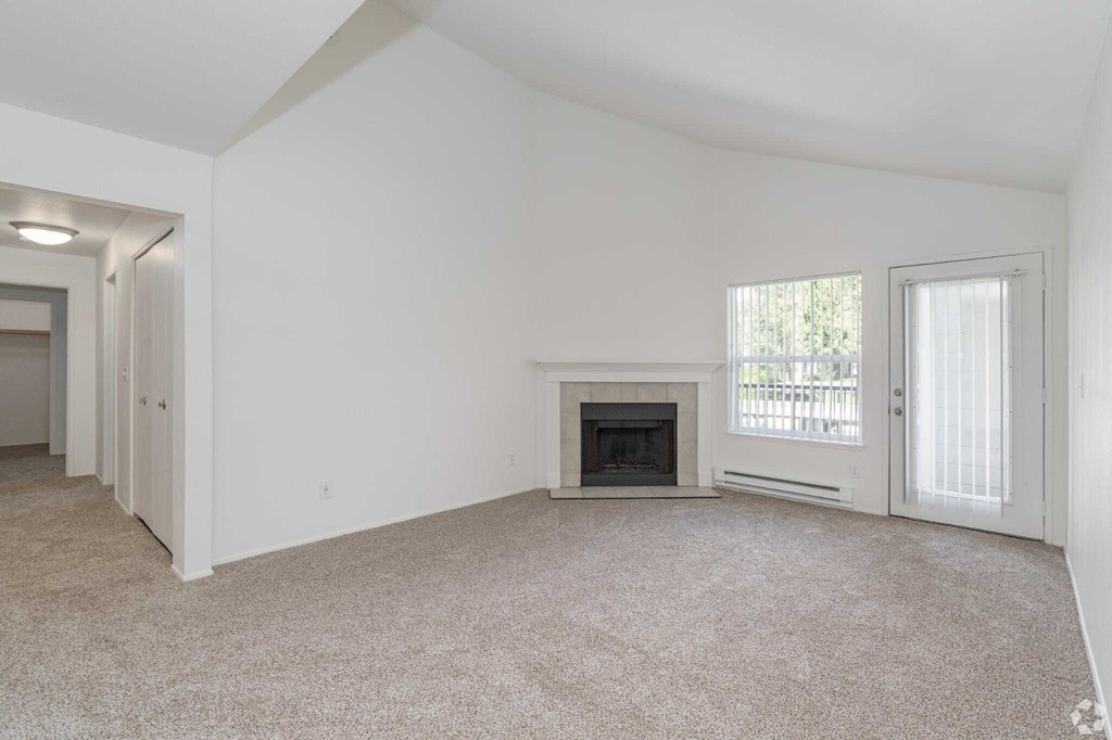 Hampton Park Living room with fireplace