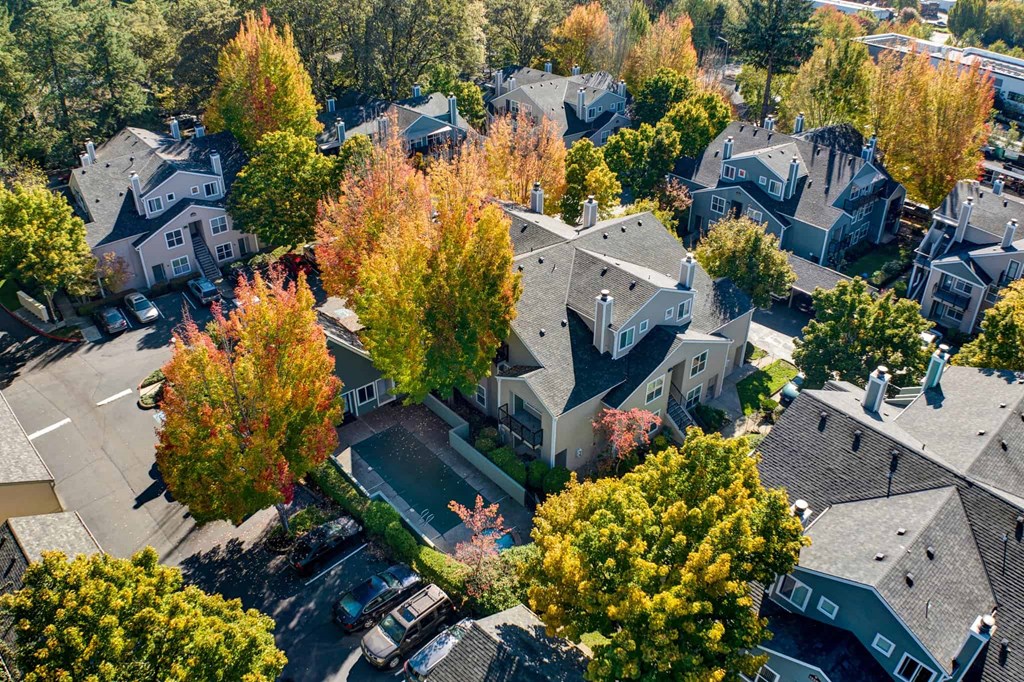 Hampton Ridge Aerial View