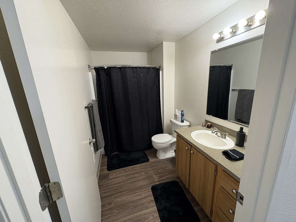 A bathroom with a toilet, sink, and shower curtain.