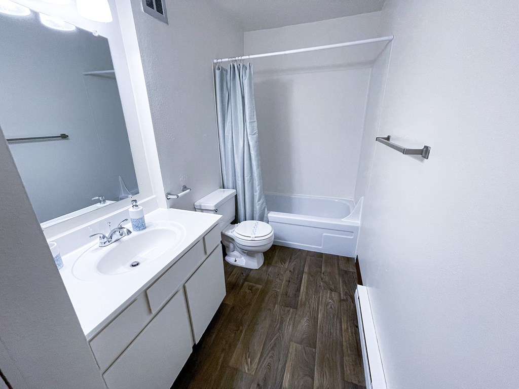 a bathroom with a toilet sink and bathtub