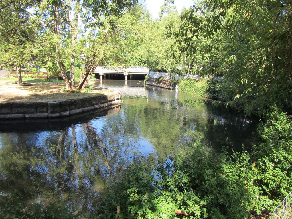 Island Park Apartments River