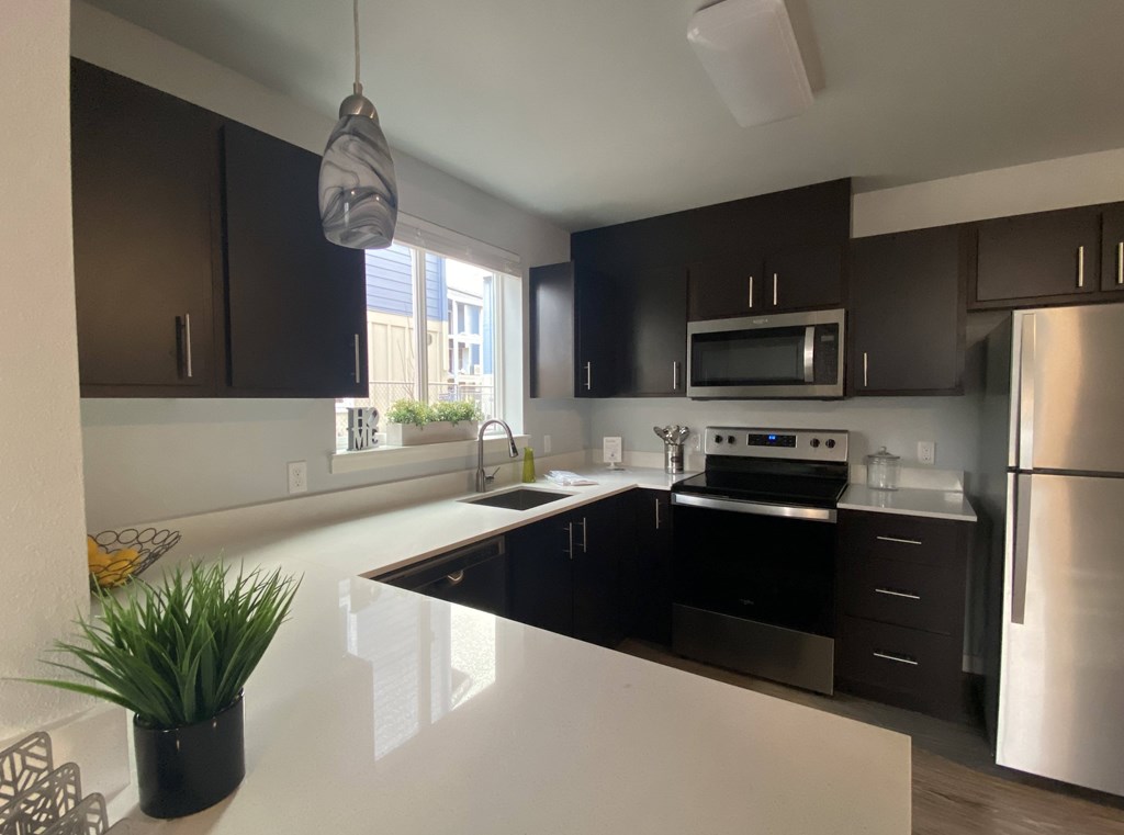 A modern kitchen with dark brown cabinets and stainless steel appliances.
