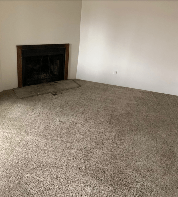 Linden Apartments Living Room and Fireplace