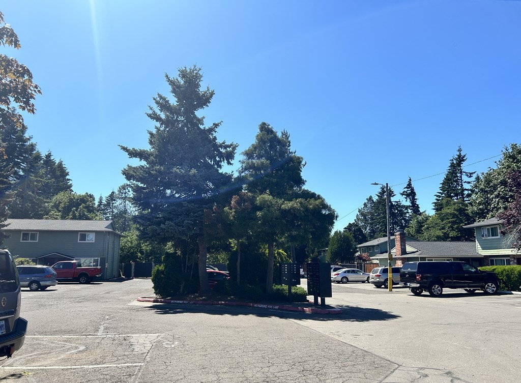 Mt. Pleasant Apartments Parking Lot