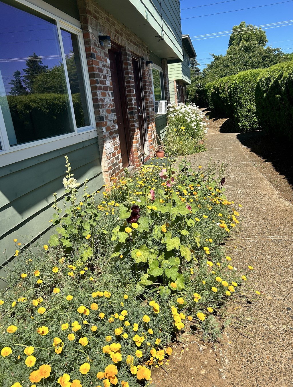 Mt. Pleasant Apartments Exterior